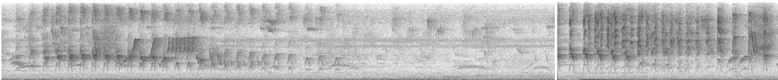 Plain Thornbird - ML635470551