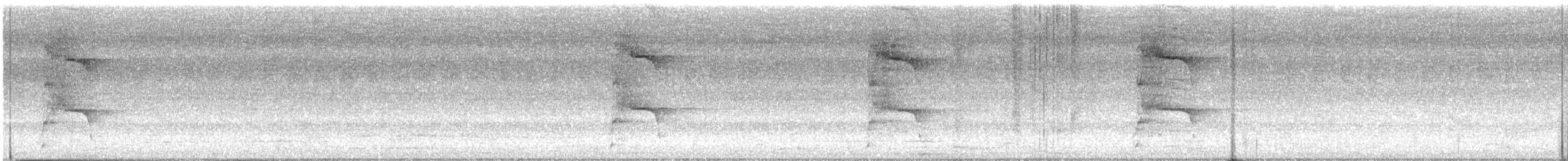 Braunohrarassari - ML635471421