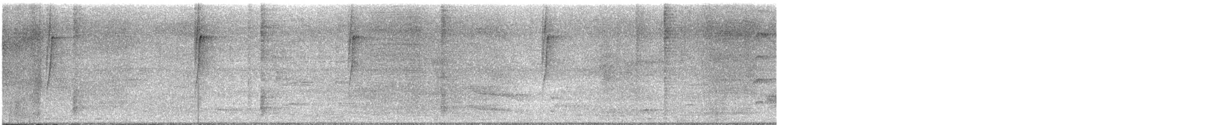 White-bearded Hermit - ML635471474