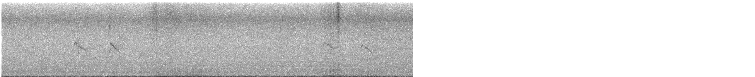 Social Flycatcher - ML635472039