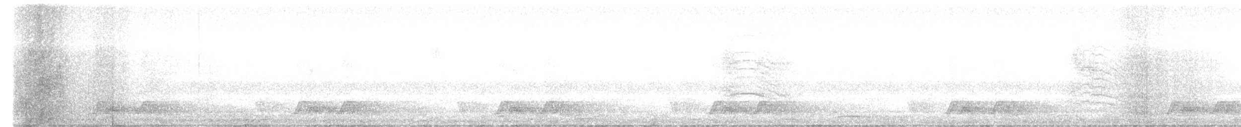 Chuck-will's-widow - ML635472720