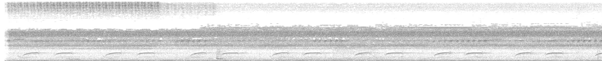 Laughing Falcon - ML635478129