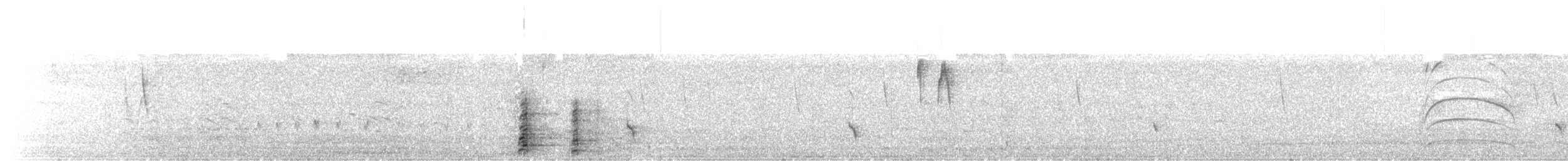 Coscoroba Swan - ML635484242