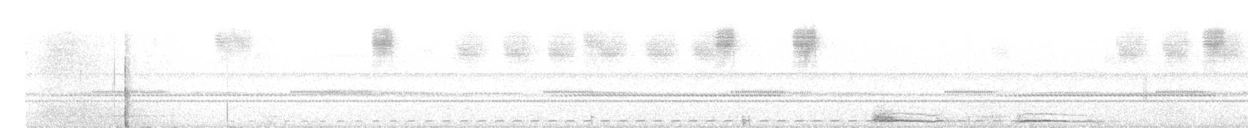 Cloud-forest Screech-Owl - ML635484435