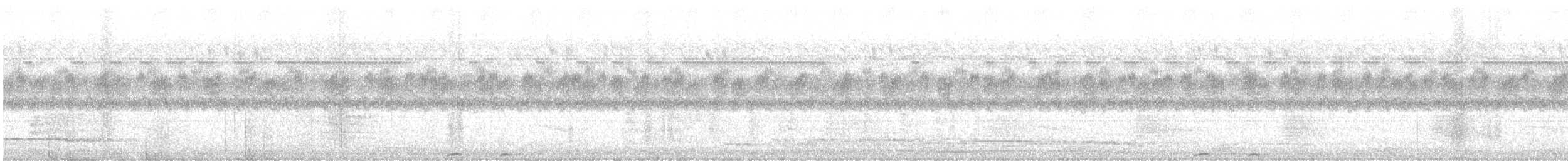diademmotmot - ML635484870