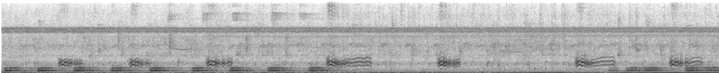Black-crowned Antshrike - ML635485066