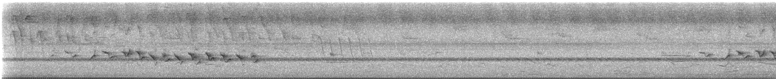 カワリヒメウソ - ML635488231