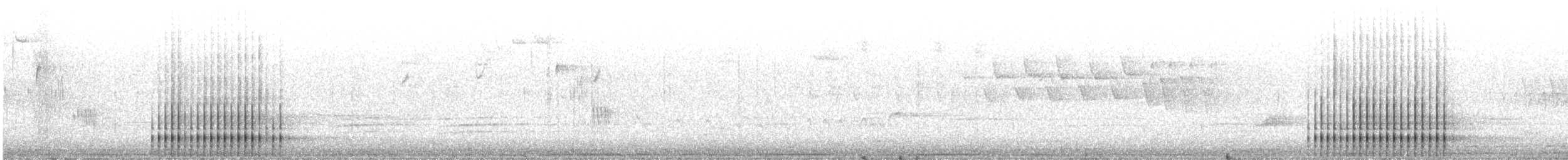 Hairy Woodpecker (Eastern) - ML635488285