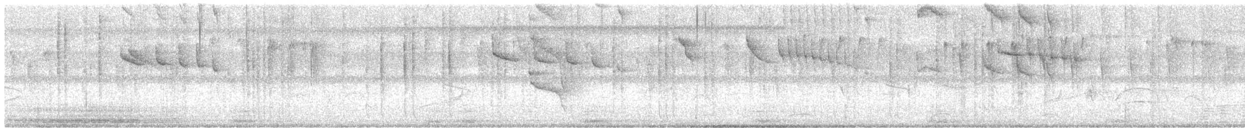 Rufous-tailed Hummingbird - ML635489217