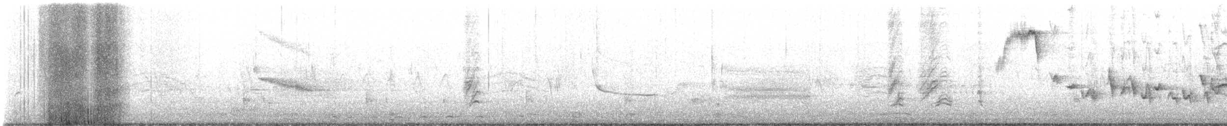 House Finch - ML635490507