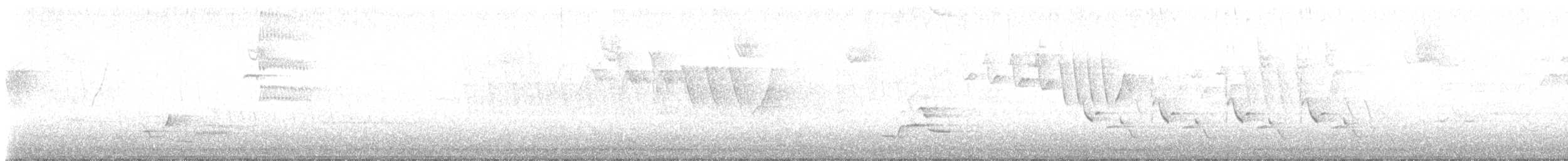 モリツグミ - ML635491425