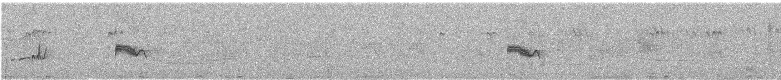 Western Wood-Pewee - ML635494970
