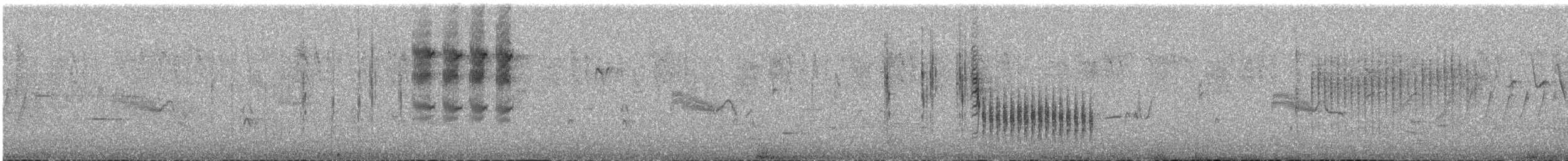 Grass Wren (Northern) - ML635494996