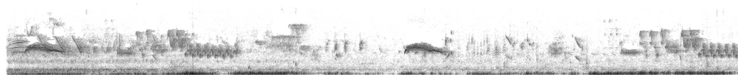 Western Wood-Pewee - ML635497857