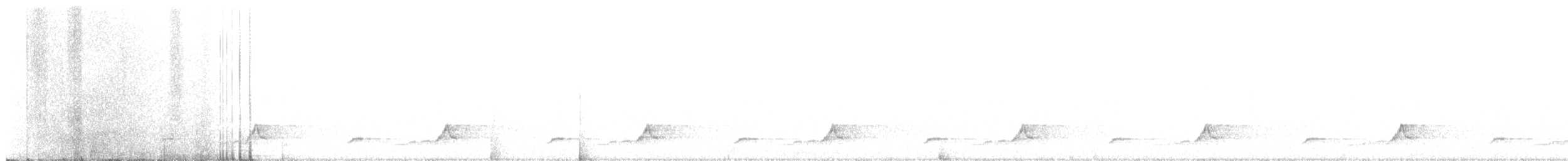 Schwarzkehl-Nachtschwalbe - ML635497986