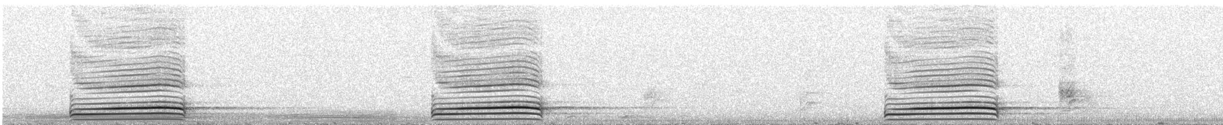 Tragopan satyre - ML635498600