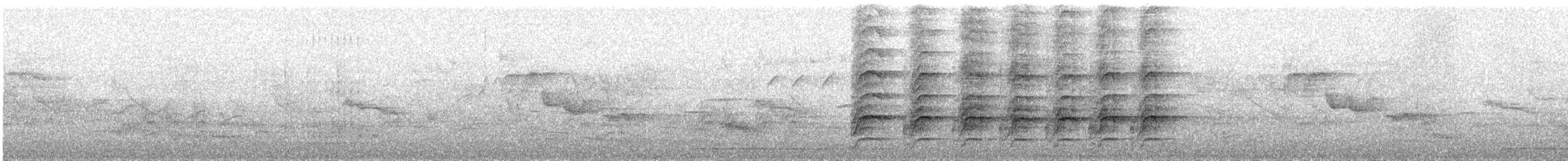 タケゲラ - ML635498634