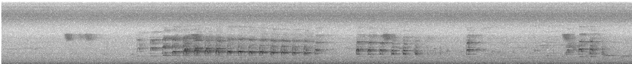 Oriental Pied-Hornbill - ML635499720