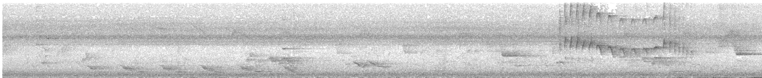 Violet Cuckoo - ML635501706