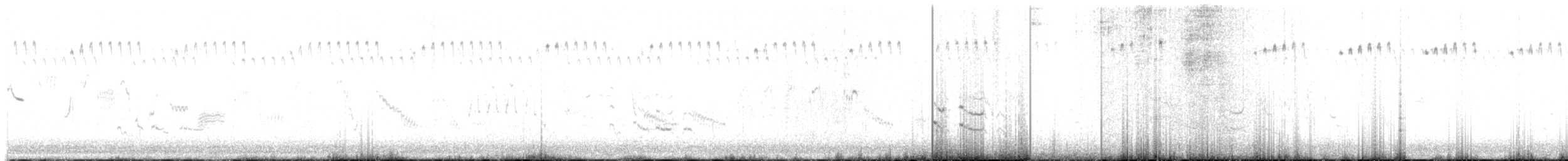 Banded Lapwing - ML635505370