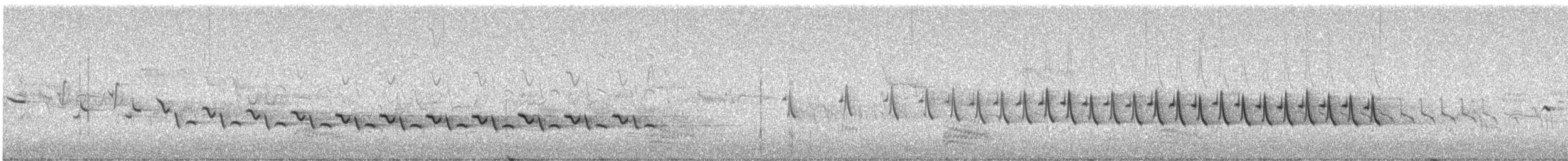 Pirripioa - ML635507196