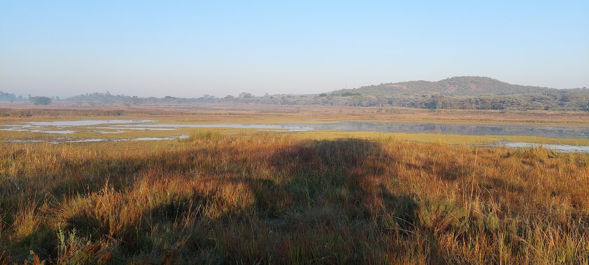 undefined - Marna Buys