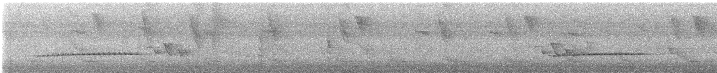 Long-billed Gnatwren - ML635507882