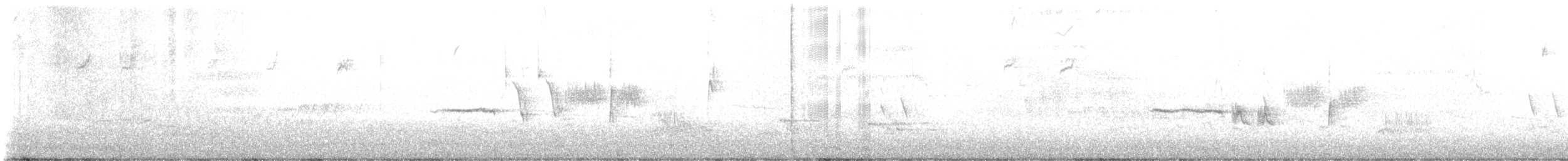 White-crowned Sparrow - ML635510188