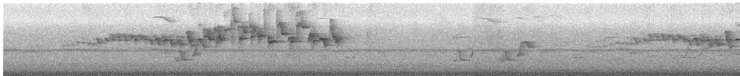 stripehodeparula - ML635511134