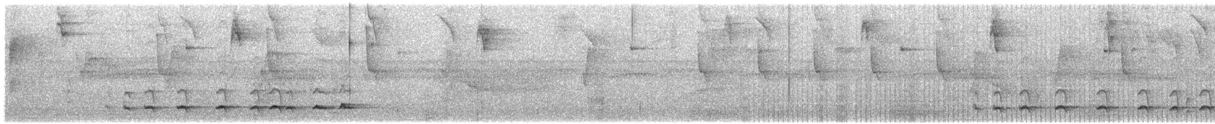 Wing-barred Piprites - ML635511370