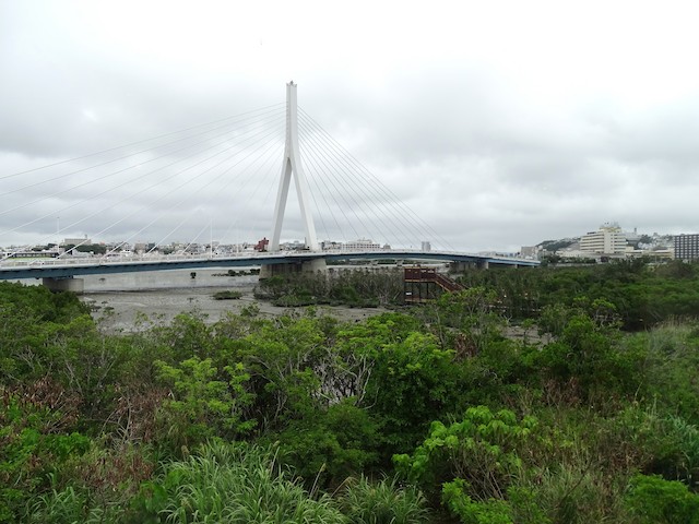 那覇市--漫湖--漫湖水鳥・湿地センター (Naha--Lake Man--Manko