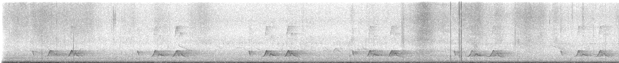 Carolinanachtschwalbe - ML635514921