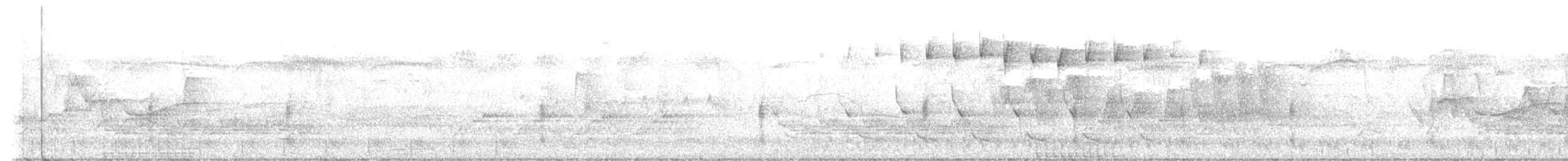 Blackpoll Warbler - ML635514976