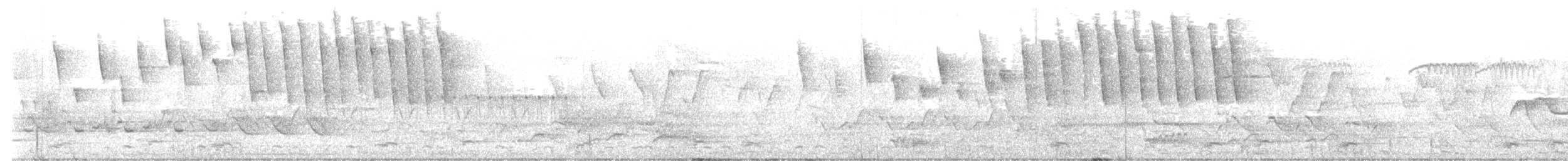 Tennessee Warbler - ML635514991