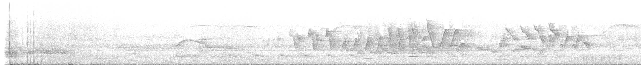 Northern Waterthrush - ML635514996