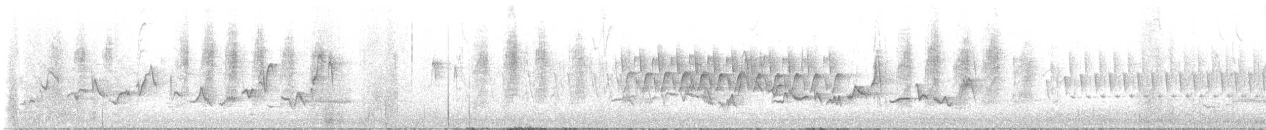 zelenáček švitořivý - ML635515045