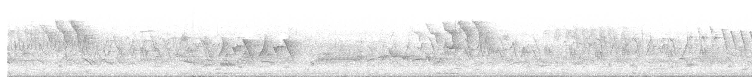 Least Bittern - ML635516707