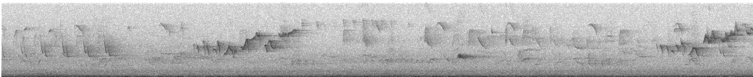 Magnolia Warbler - ML635517060