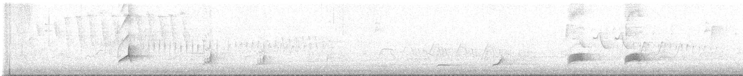 Northern Bobwhite - ML635517079