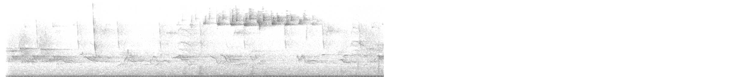 Blackpoll Warbler - ML635517238