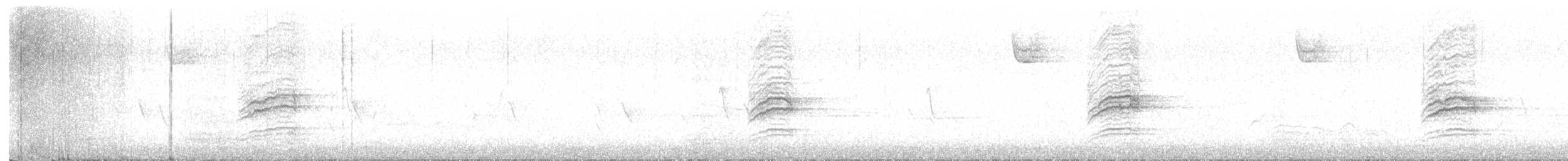 Einsiedler-Musendrossel - ML635517587