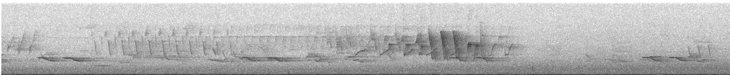 Northern Waterthrush - ML635518873