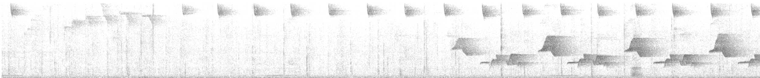 Colibri moucheté - ML635519197