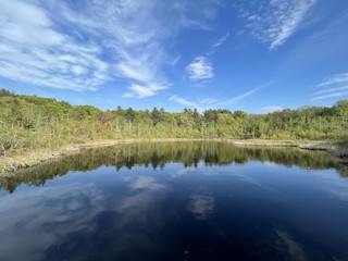 Ward Reservation (TTOR), Essex, Massachusetts, United States - eBird ...
