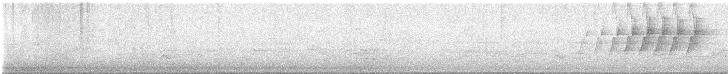 Prothonotary Warbler - ML635520547