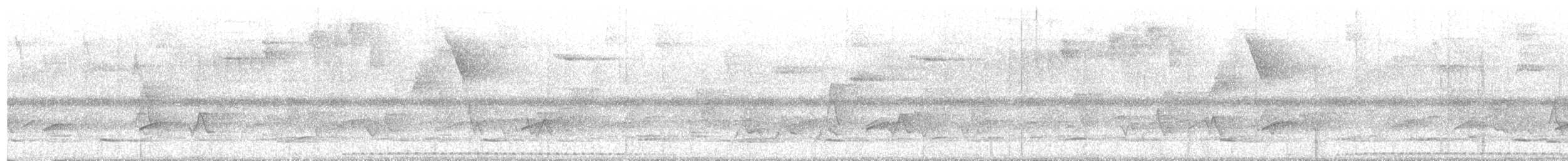 Puerto Rican Owl - ML635520903