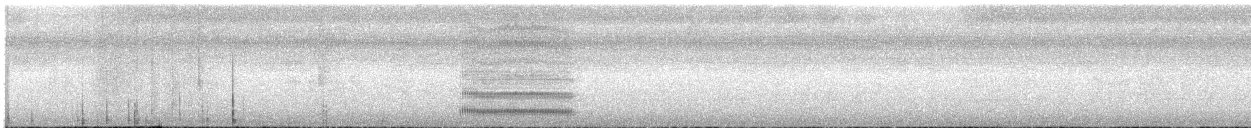 Southern Bentbill - ML635521574