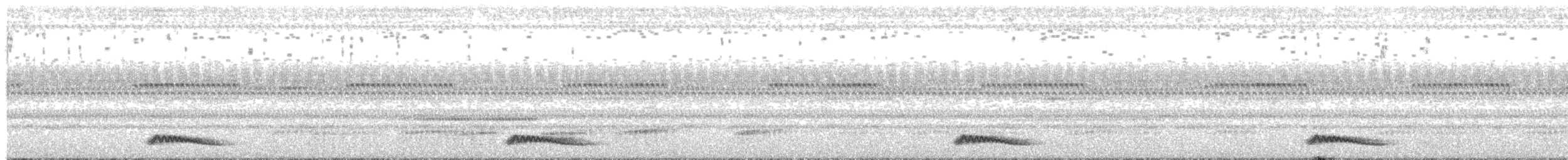 Engoulevent ocellé - ML635522781