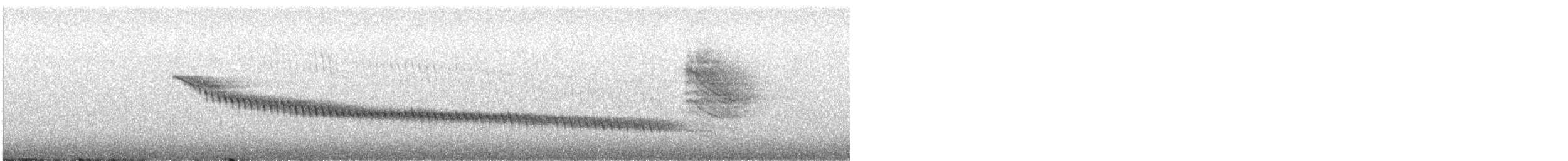 Canyon Wren - ML635523129