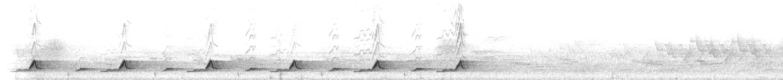 Schwarzkehl-Nachtschwalbe - ML635523239